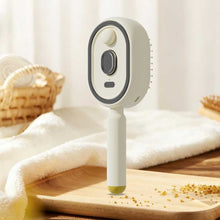Steam Brush | Rechargeable Detangling Tool with Oil