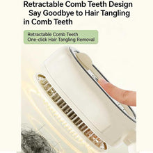 Steam Brush | Rechargeable Detangling Tool with Oil